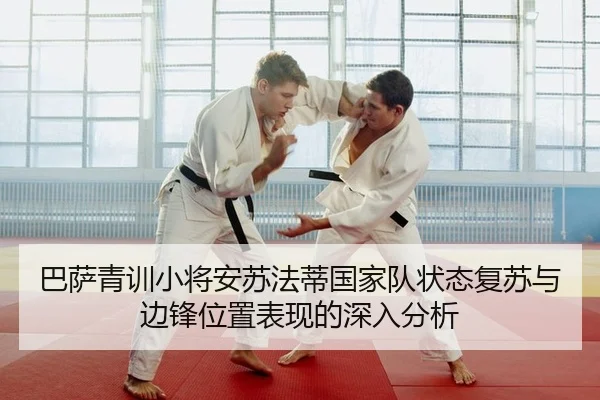 ba-sa-qing-xun-xiao-jiang-an-su-fa-di-guo-jia-dui-zhuang-tai-fu-su-yu-bian-feng-wei-zhi-biao-xian-de-shen-ru-fen-xi-2-736.jpg